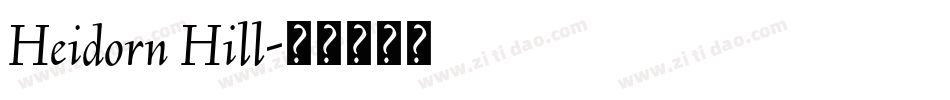 Heidorn Hill字体转换